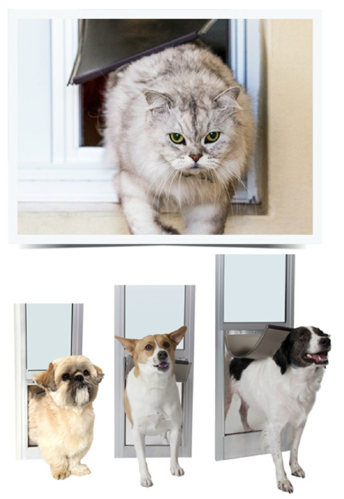 Dog Doors Sydney Dog Doors