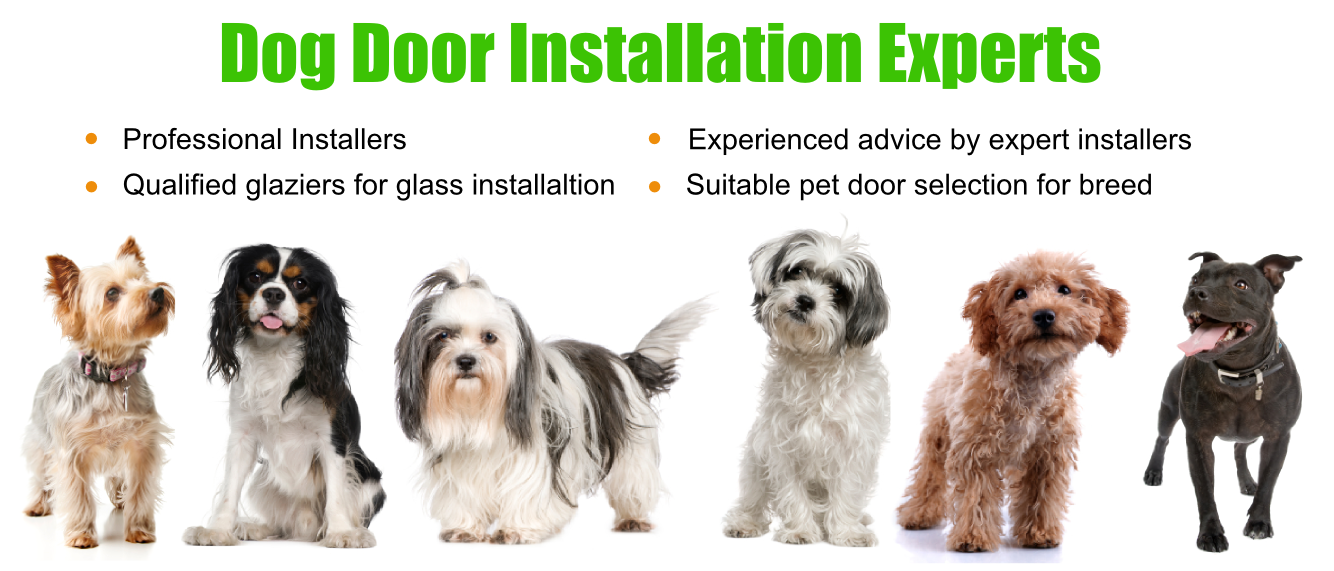 Dog Doors Sydney Dog Doors